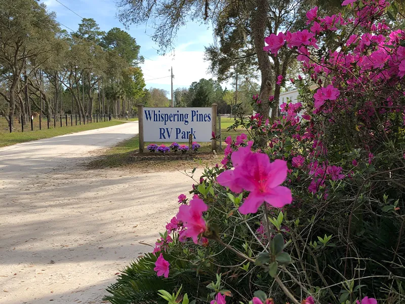 Whispering Pines RV Park - Silver Springs, FL (5)